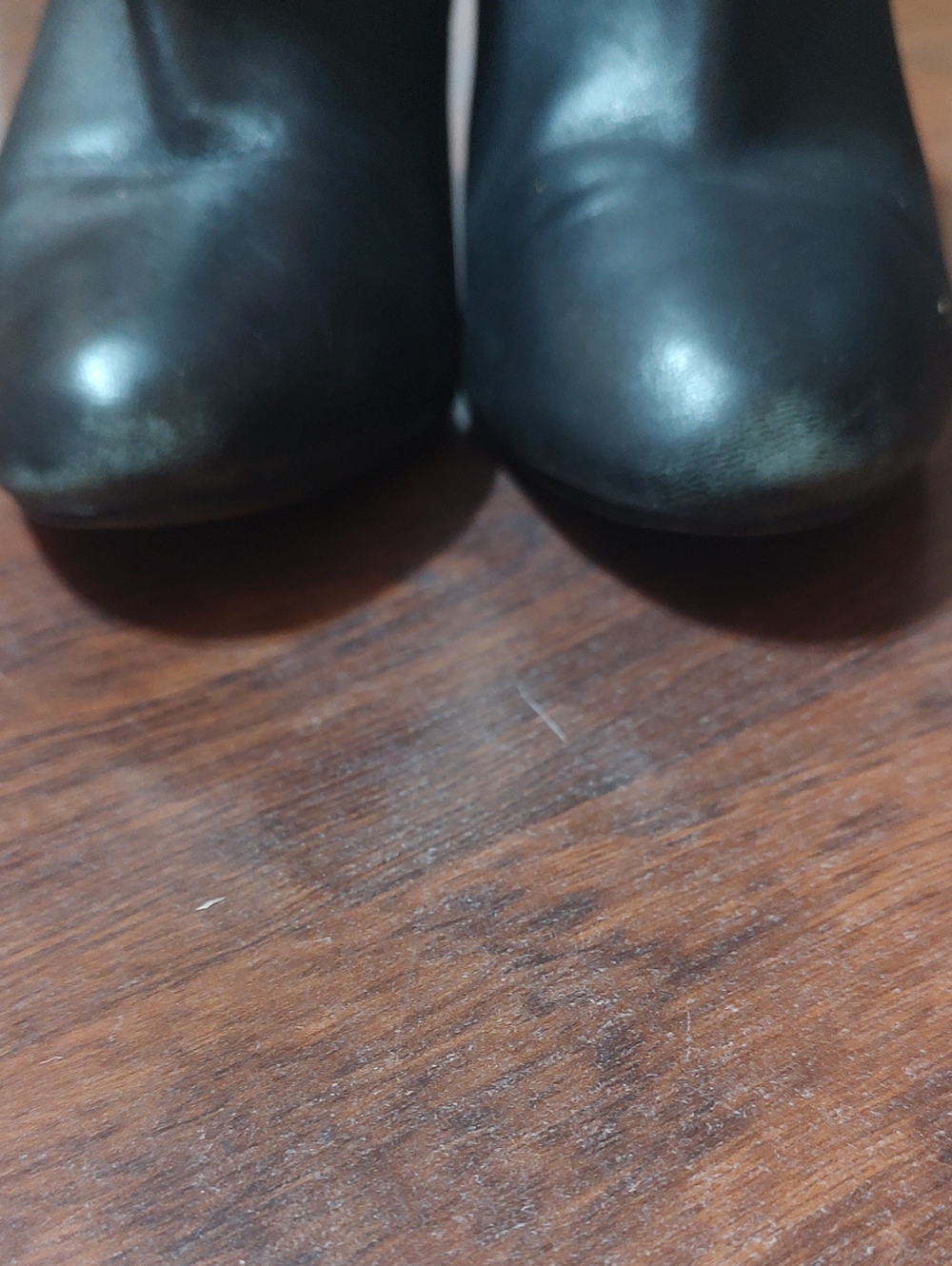 Sergio Rossi Black Leather Ankle Mules with Gold Zipper Detail - Picture 2 of 6
